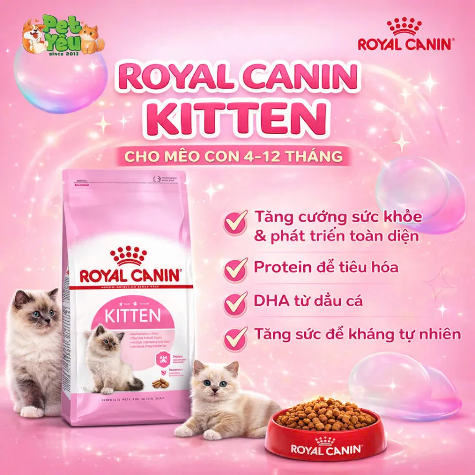 Thức ăn hạt Royal Canin dành riêng cho mèo mẹ & mèo con