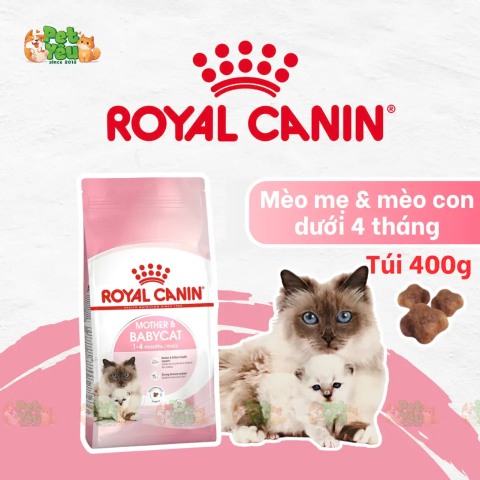 Thức ăn hạt Royal Canin dành riêng cho mèo mẹ & mèo con