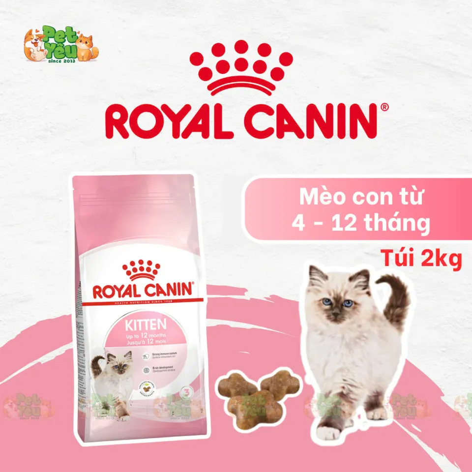Thức ăn hạt Royal Canin dành riêng cho mèo mẹ & mèo con