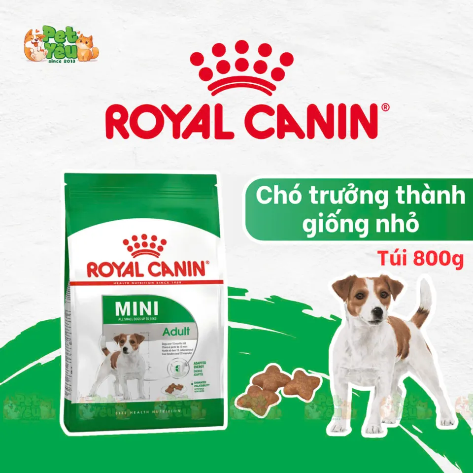 Thức ăn hạt cho giống chó nhỏ Royal Canin