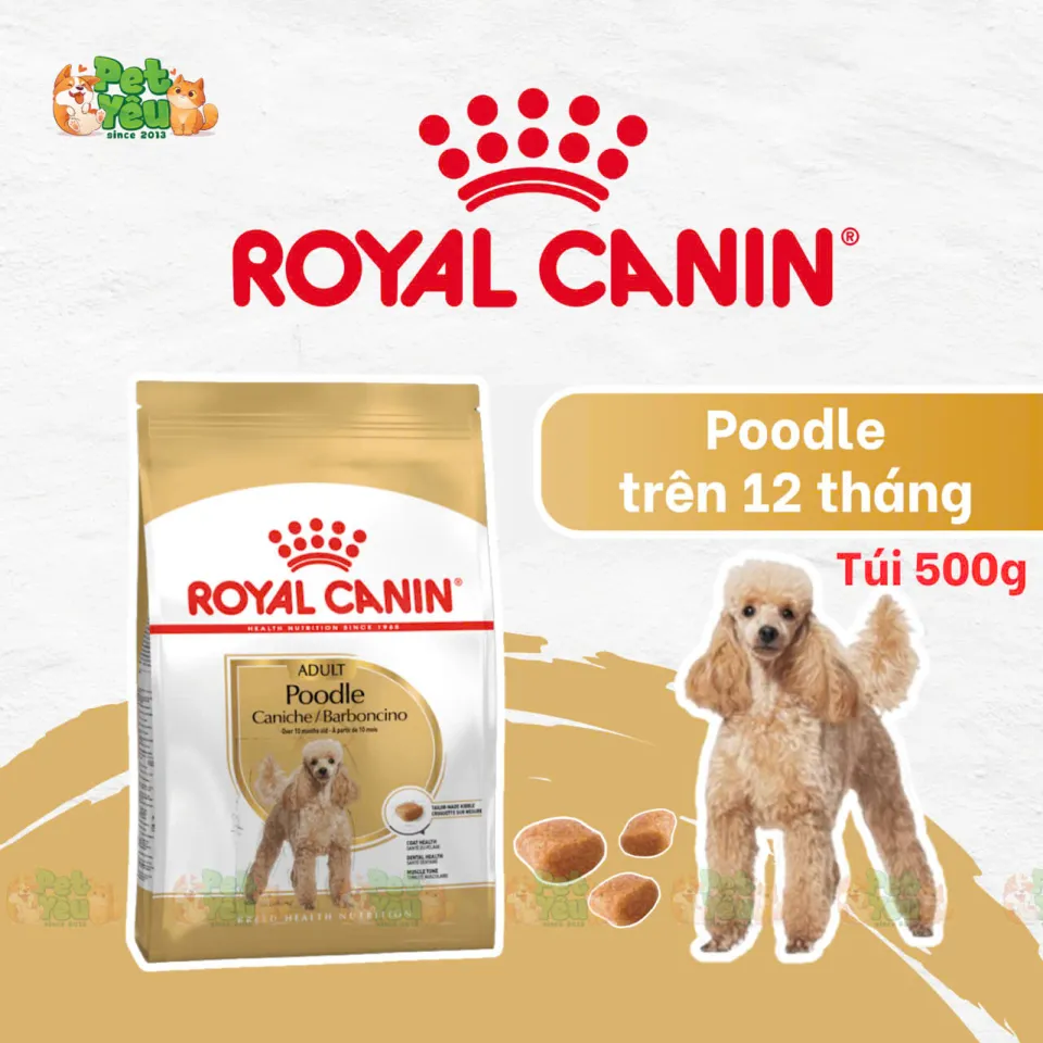 Thức ăn hạt Royal Canin dành cho chó Poodle 