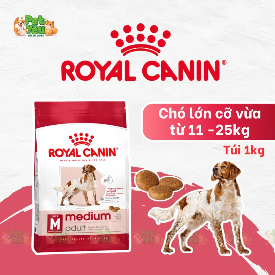 THỨC ĂN CHO CHÓ TRỌNG LƯỢNG TRUNG BÌNH ROYAL CANIN MEDIUM