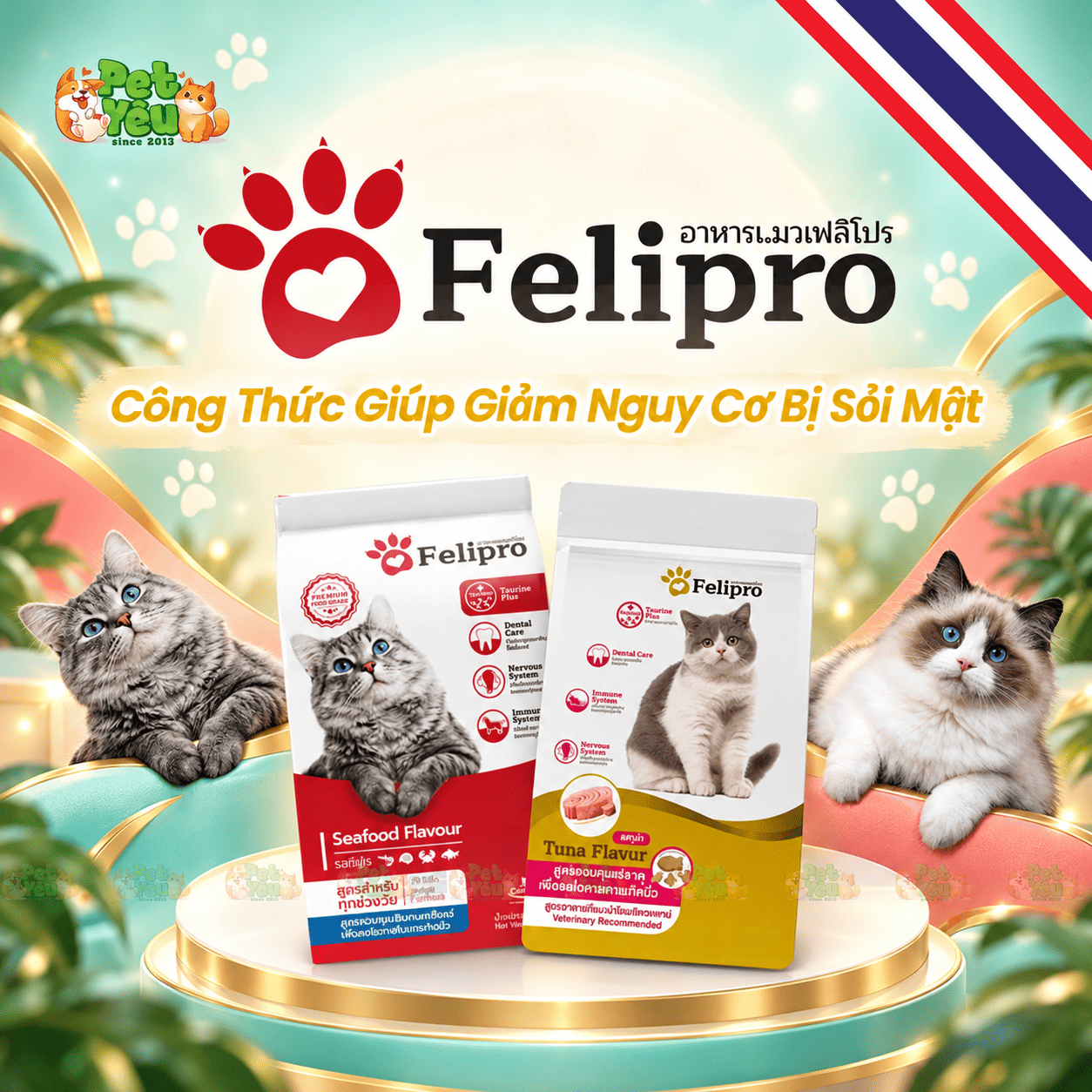 Thức Ăn Hạt Dành Cho Mèo Felipro Nhập Khẩu Thái Lan