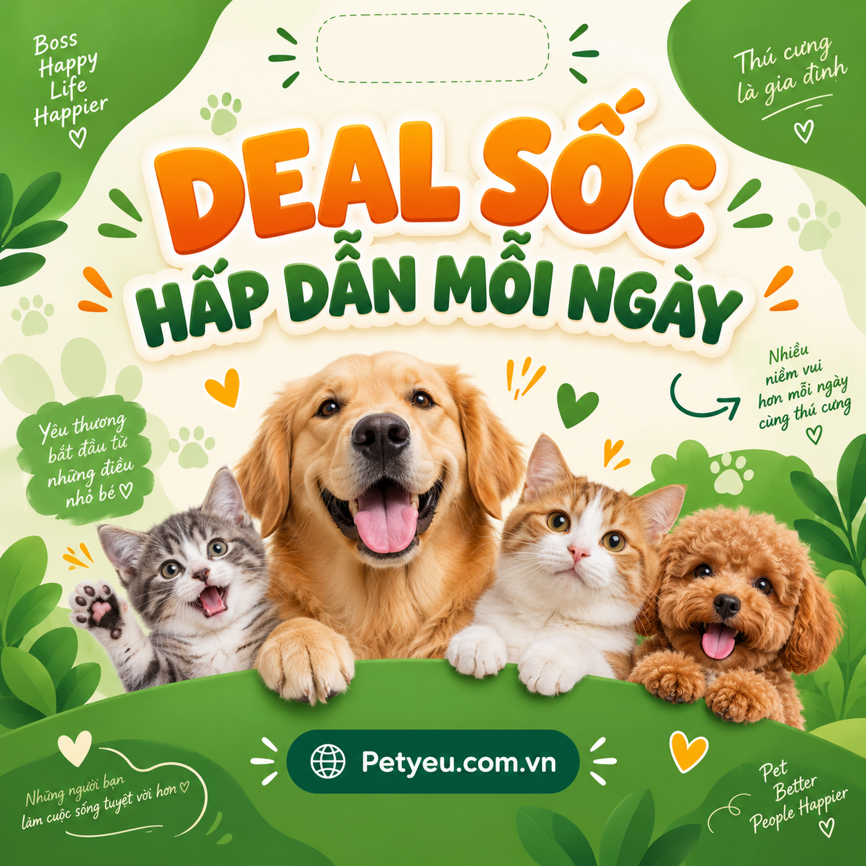 DEAL SOCK